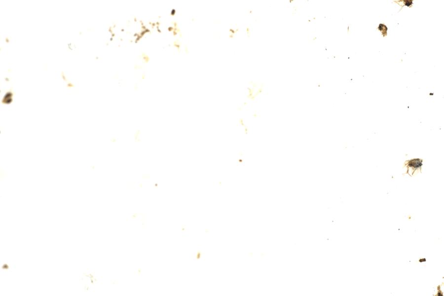 Image 212